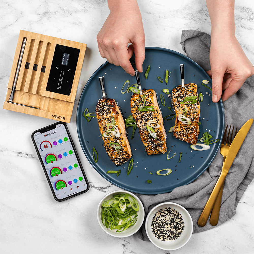 MEATER Block Premium WiFi Meat Thermometer MEATER US