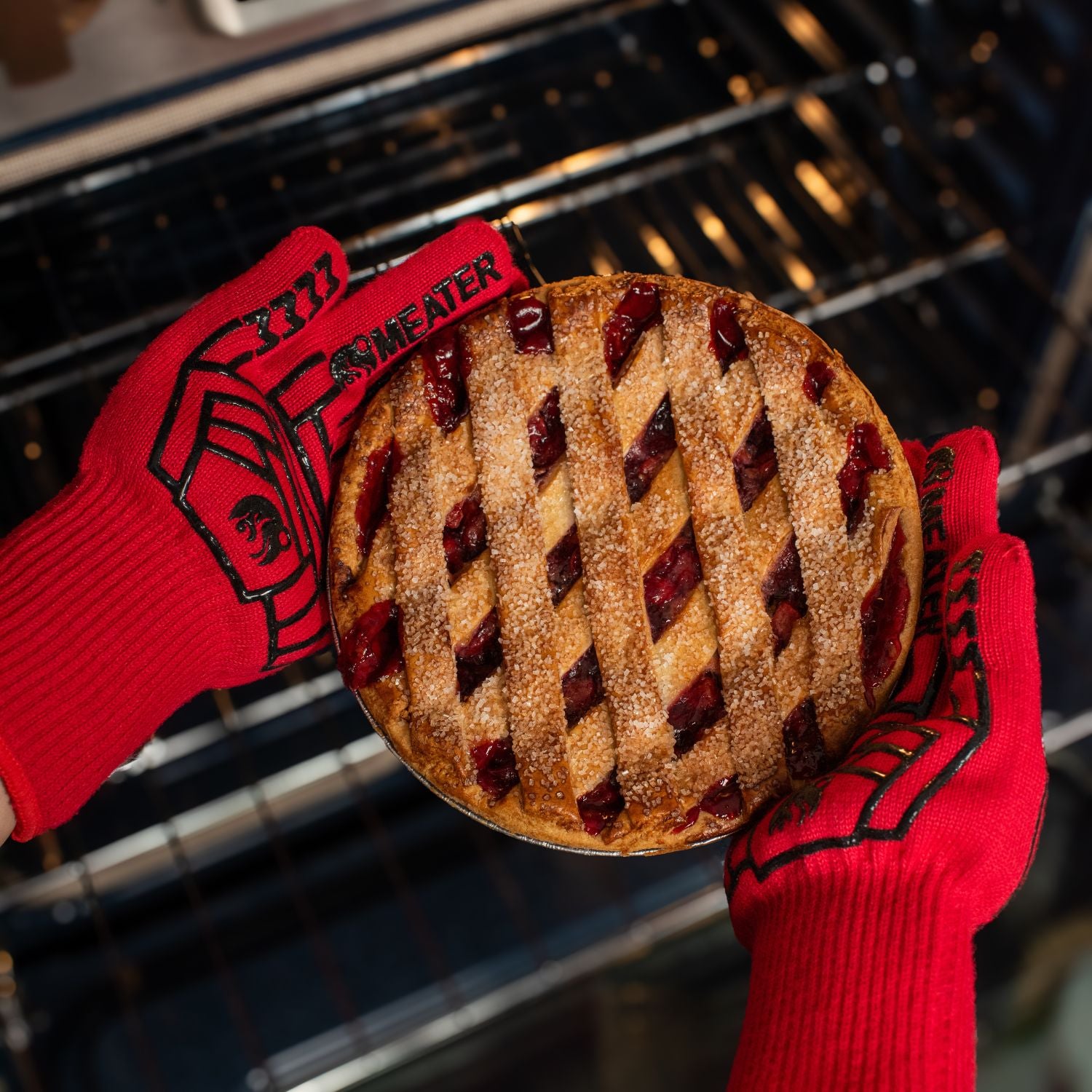 BBQ/Oven Mitts