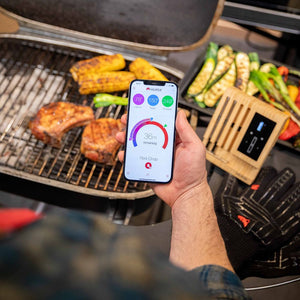 Meater Wireless Meat Thermometer Review: A Recipe for Mediocrity