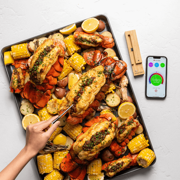 MEATER+ Ext. Range Wireless Bluetooth Meat Thermometer : BBQGuys
