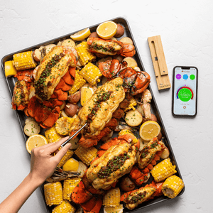 The MEATER® Wireless BBQ Thermometer — The Temperature Shop